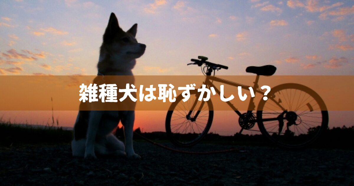 雑種犬は恥ずかしい？