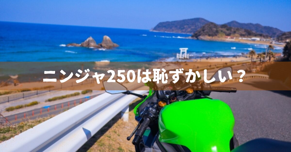 ニンジャ250はは恥ずかしい？